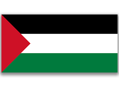 Palestine Flag