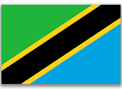 Tanzania Flag